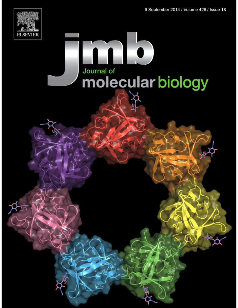 JMB Cover
